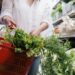 Ce să mănânci pentru un colon sănătos. Alimentele recomandate de specialiști și obiceiurile care pot afecta intestinul